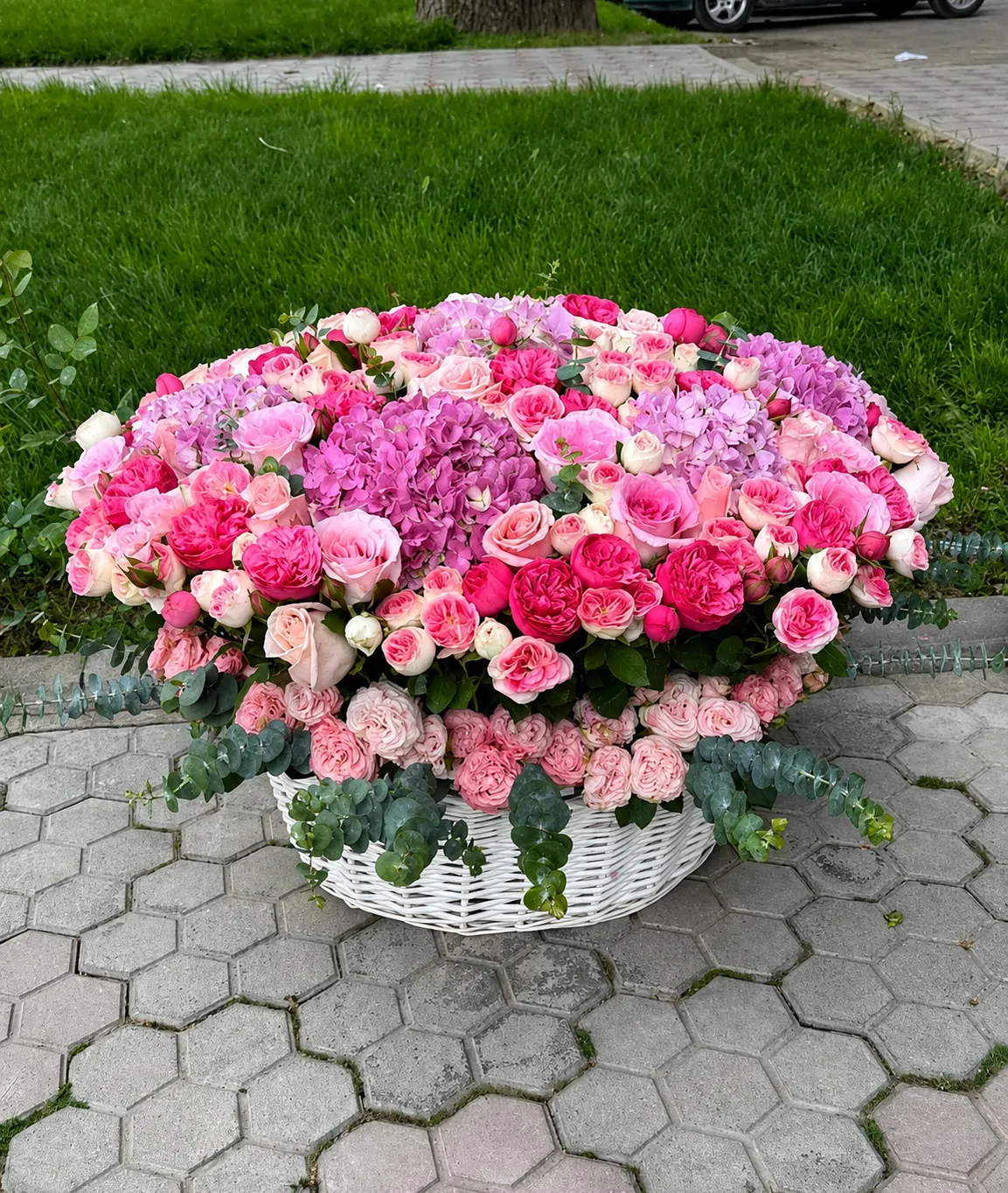 Розовый горизонт