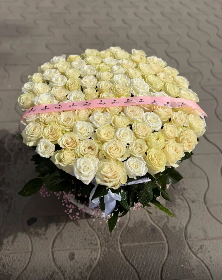 Сливочный блеск