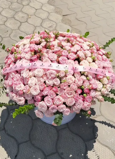 Розовый вихрь