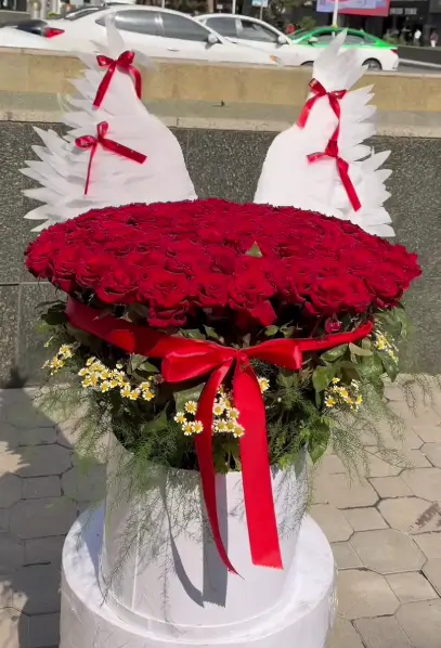 Алые крылья