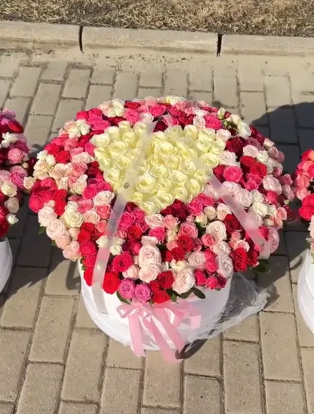 Сердце шампань