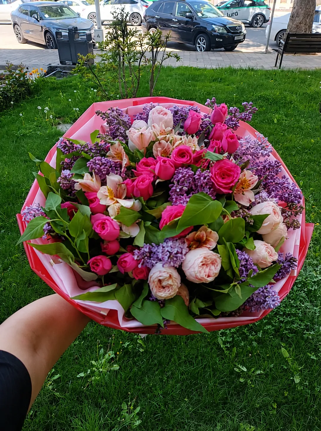 Сиреневый румянец