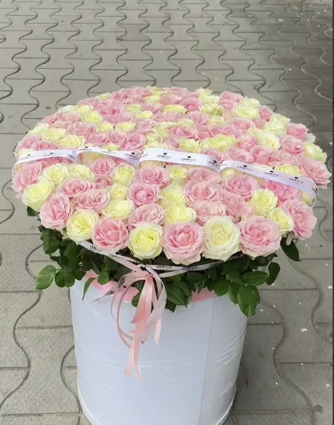 Ванильный румянец