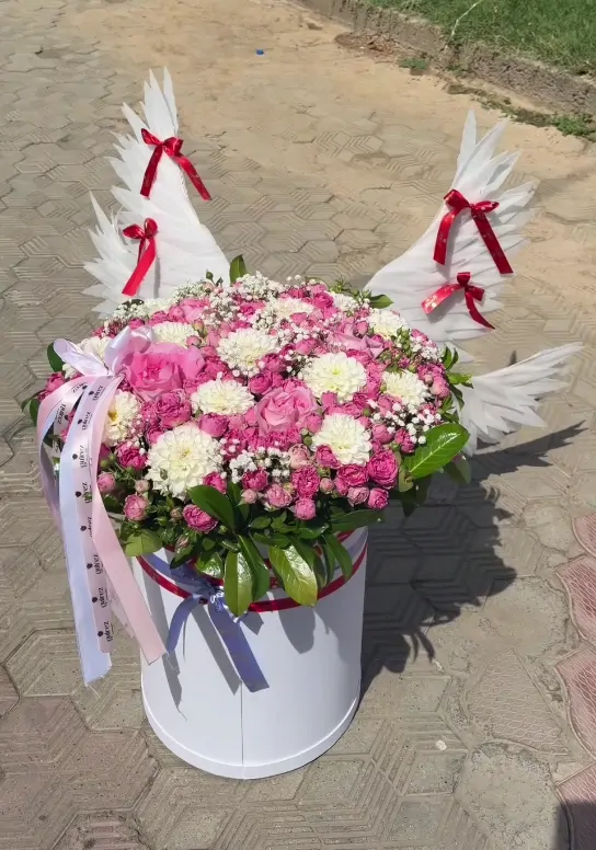 Крылья нежности