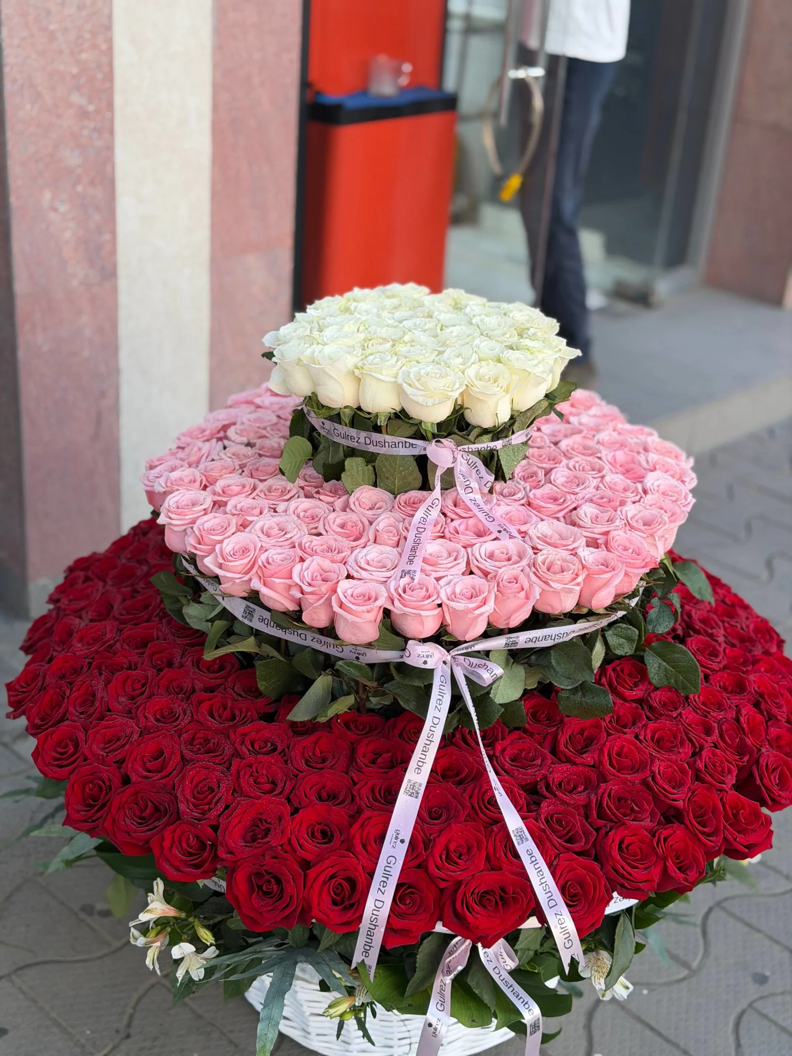 401 голландская роза
