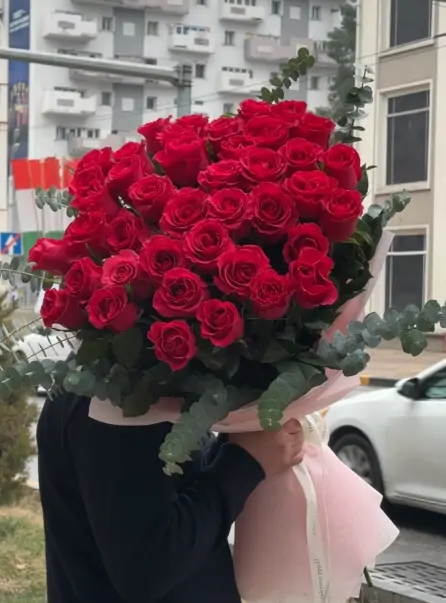 Рубиновый эвкалипт