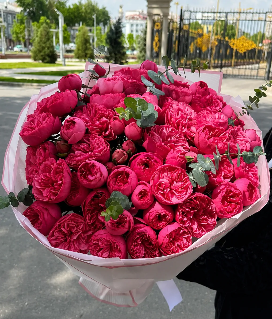 Малиновый сад