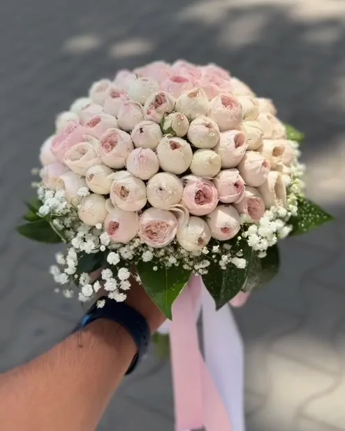 Пионовая нежность