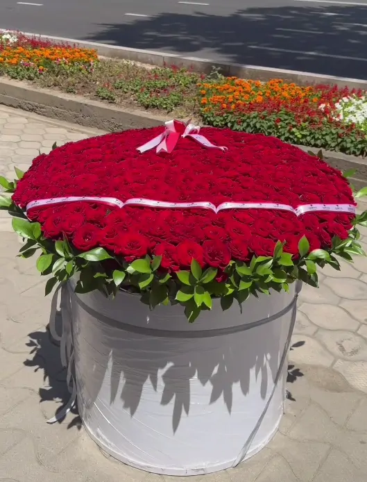 Алый купол