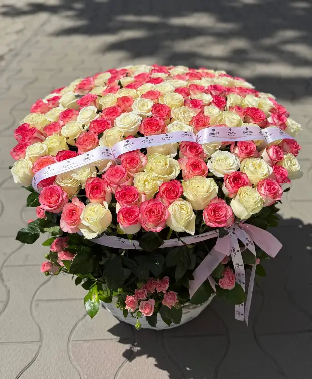 201 голландская роза