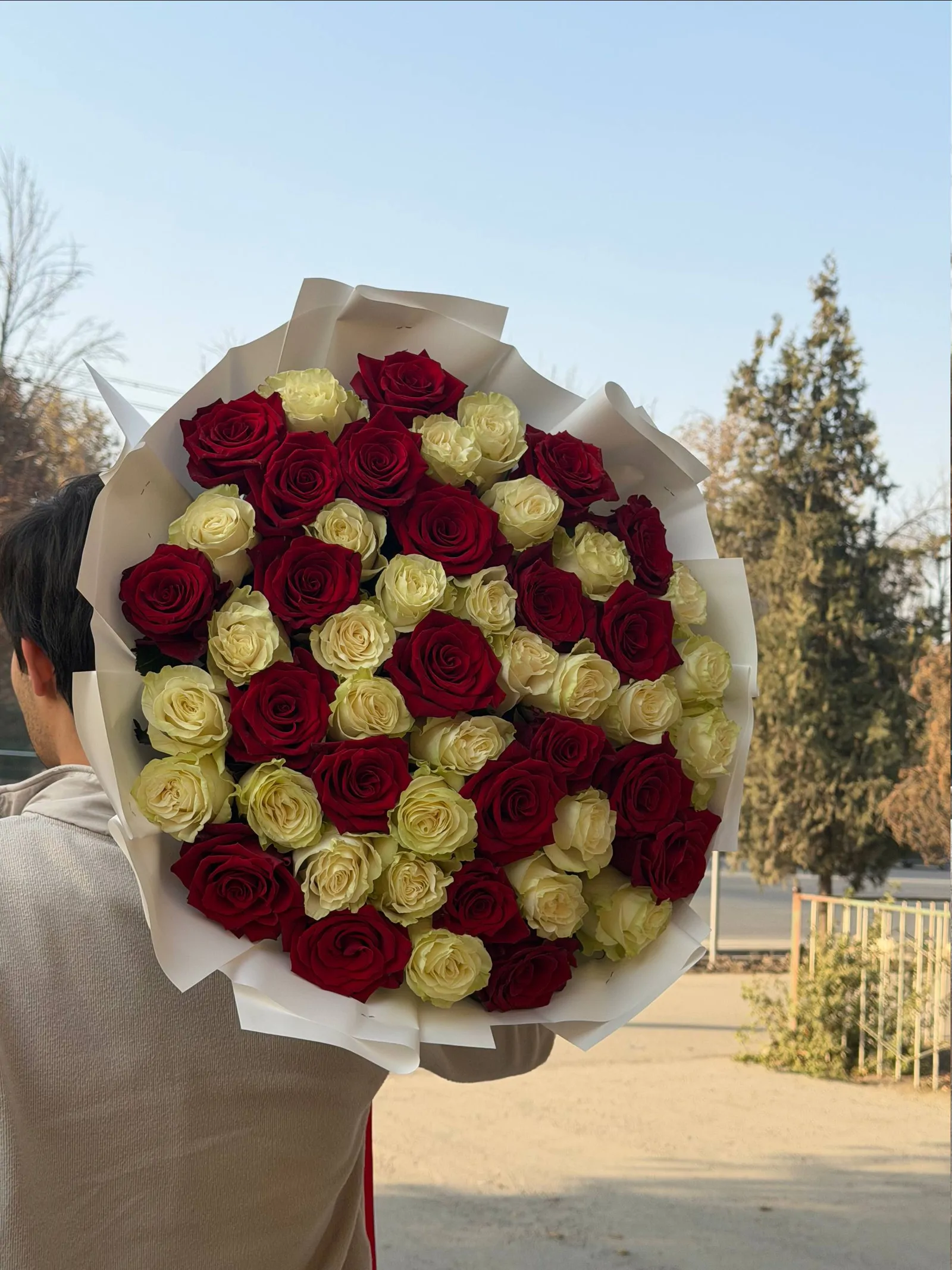 51 голландских роз