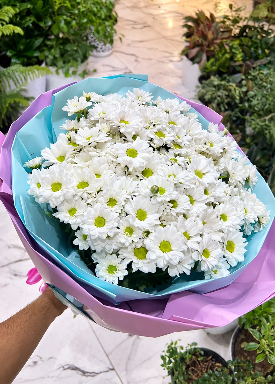 Букет белых хризантем