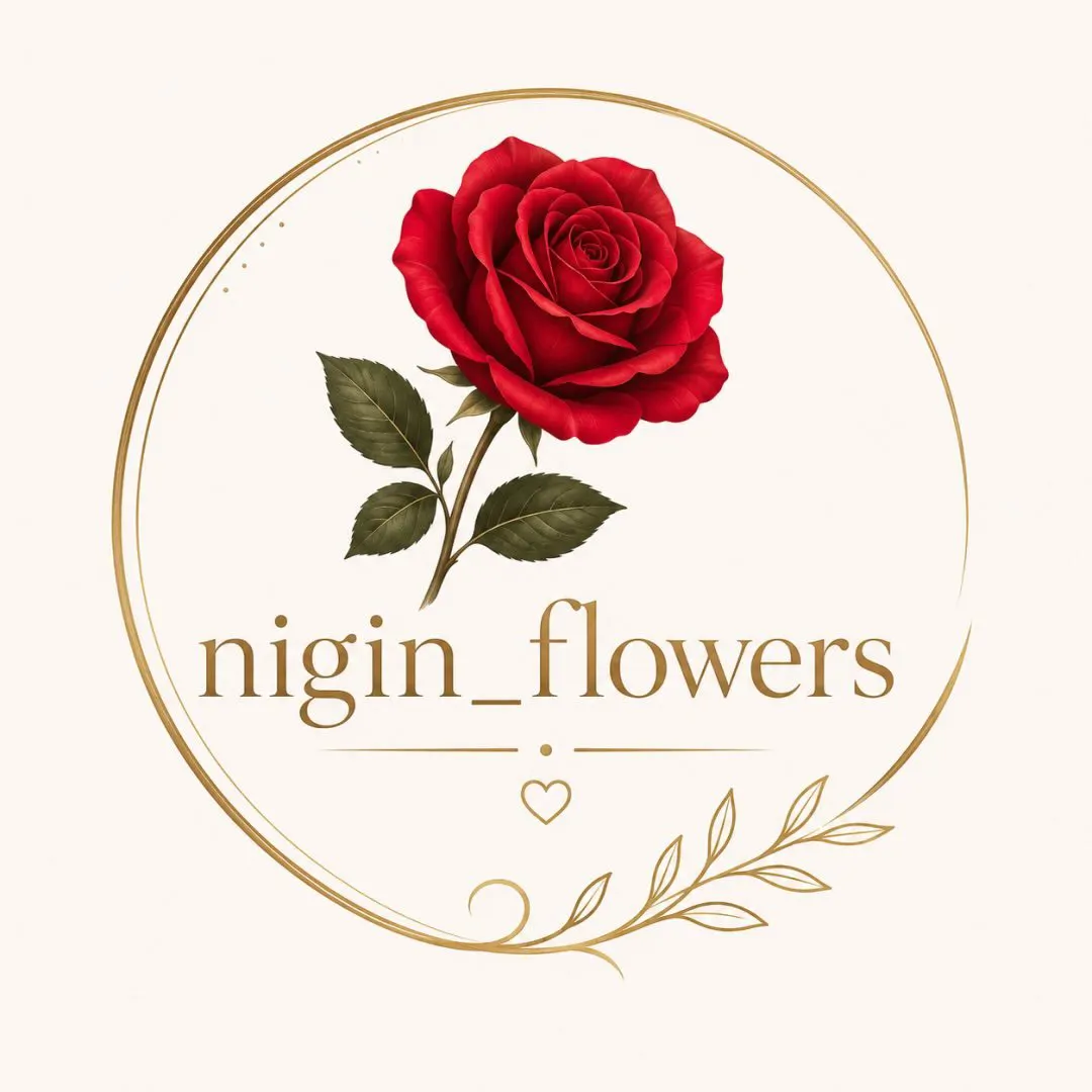 Магазин Nigin