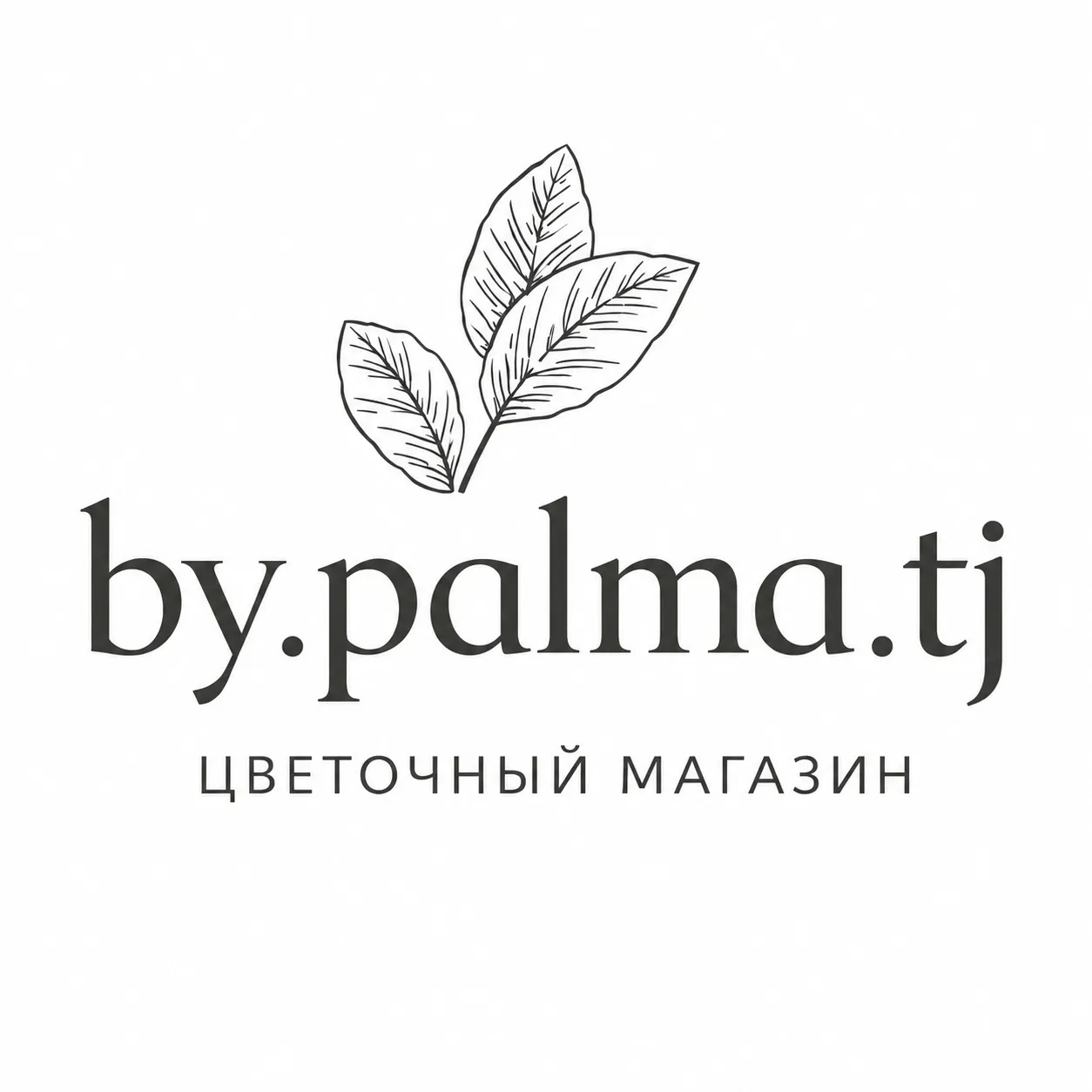Магазин Palma
