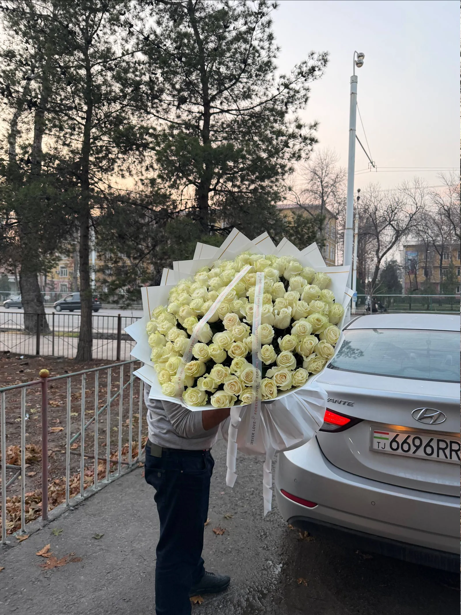101 белая голландская роза, фото 2