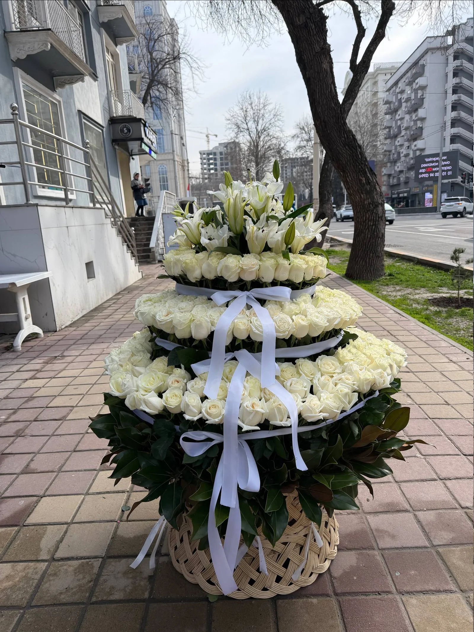 Белая гармония, фото 2
