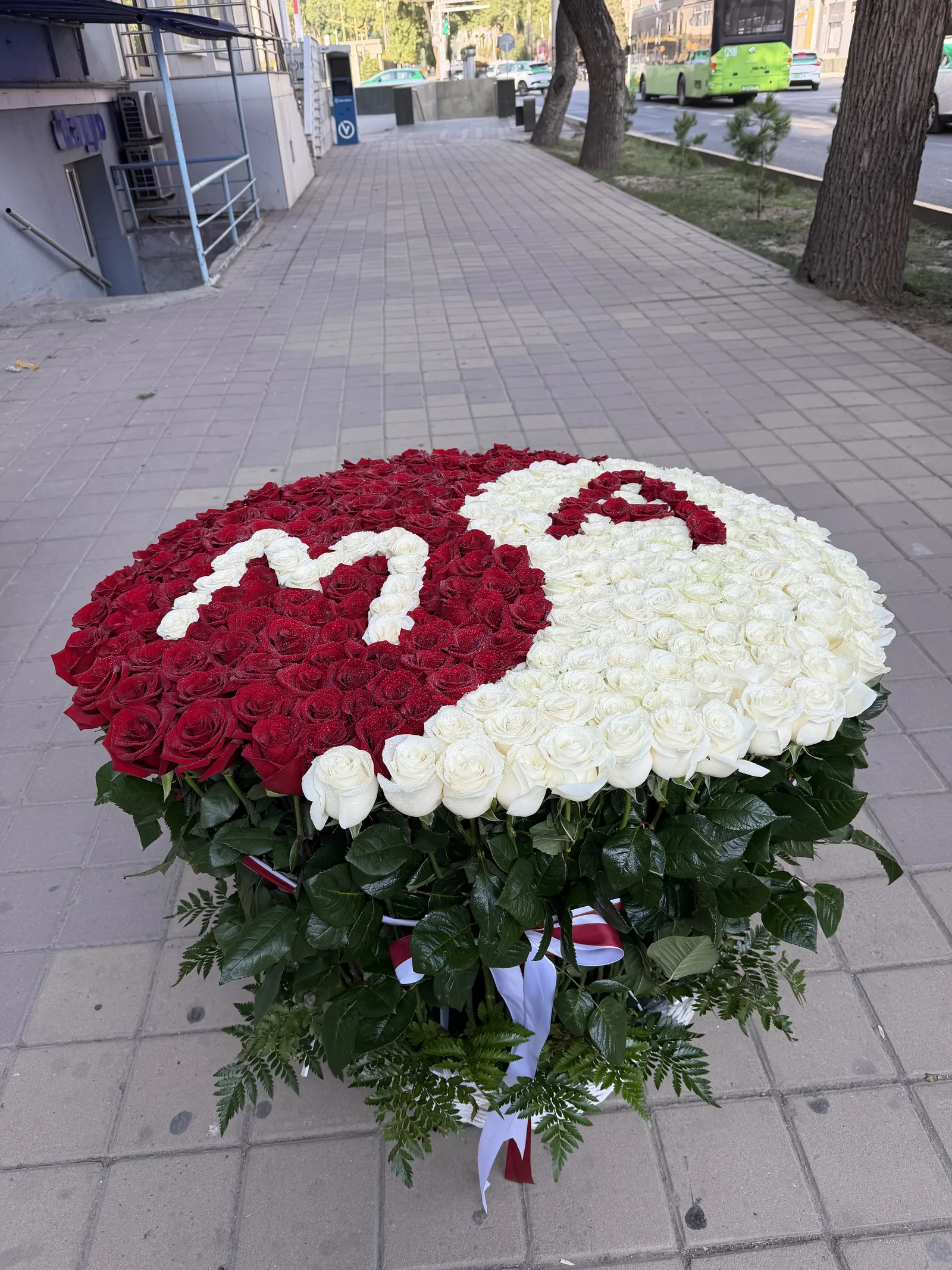 Алый контраст