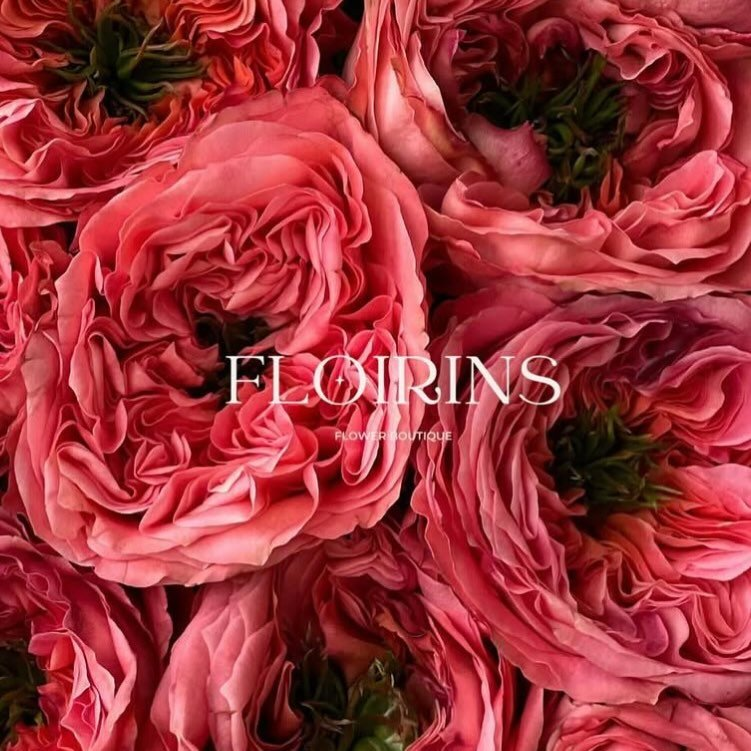 floirins