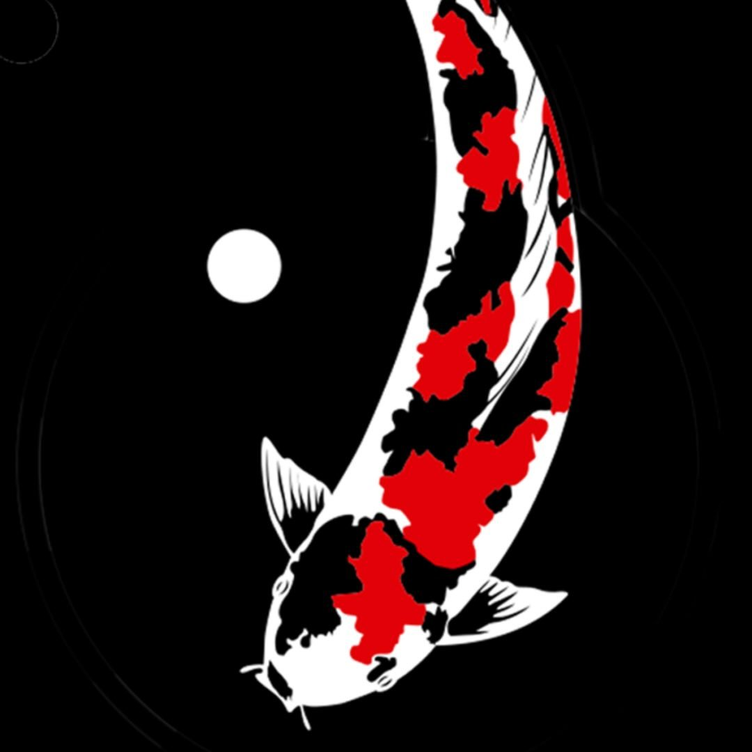 sushichef.tj